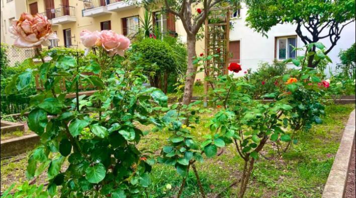 L'Avenir Du Ray Διαμέρισμα Νίκαια Εξωτερικό φωτογραφία